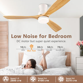 BOOSANT 52" Flush Mount   Ceiling Fan with Lights，Low Profile Ceiling Fan with Remote Control  LED Light 3 Reversible Wood Blades Noiseless DC Motor 6 Speed